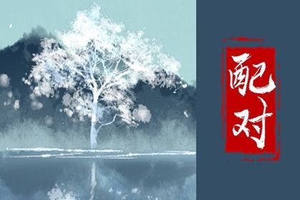 测算在决策中的位置