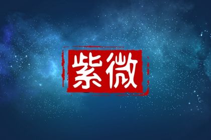 事业运看哪个宫